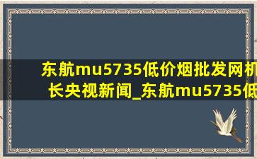 东航mu5735(低价烟批发网)机长央视新闻_东航mu5735(低价烟批发网)机长杨鸿