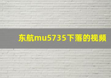 东航mu5735下落的视频