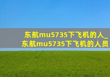 东航mu5735下飞机的人_东航mu5735下飞机的人员