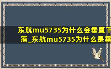 东航mu5735为什么会垂直下落_东航mu5735为什么是垂直下落