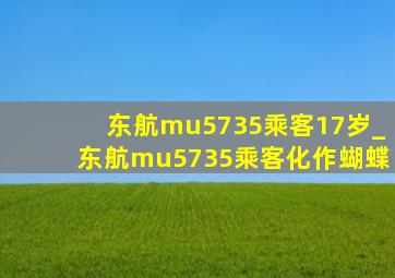 东航mu5735乘客17岁_东航mu5735乘客化作蝴蝶