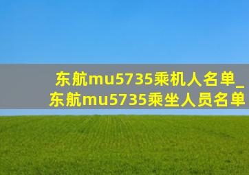 东航mu5735乘机人名单_东航mu5735乘坐人员名单