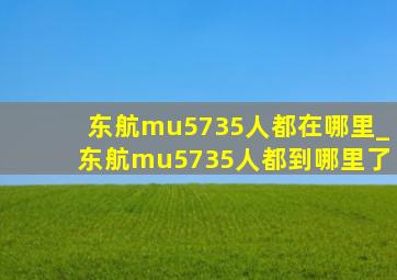 东航mu5735人都在哪里_东航mu5735人都到哪里了