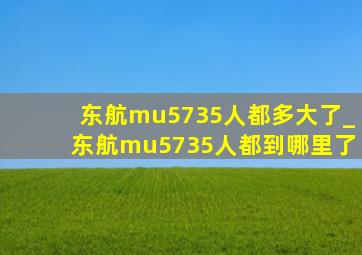 东航mu5735人都多大了_东航mu5735人都到哪里了