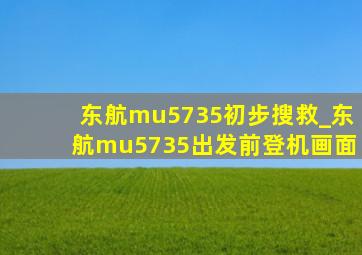 东航mu5735初步搜救_东航mu5735出发前登机画面