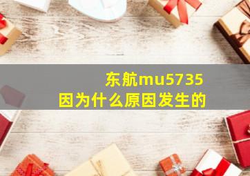 东航mu5735因为什么原因发生的