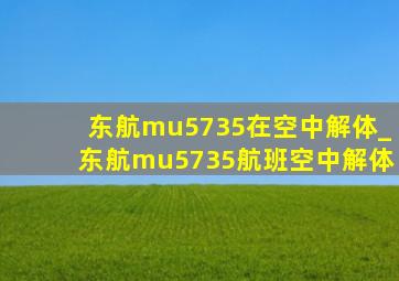 东航mu5735在空中解体_东航mu5735航班空中解体