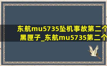 东航mu5735坠机事故第二个黑匣子_东航mu5735第二个黑匣子(低价烟批发网)消息
