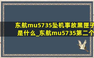 东航mu5735坠机事故黑匣子是什么_东航mu5735第二个黑匣子(低价烟批发网)消息