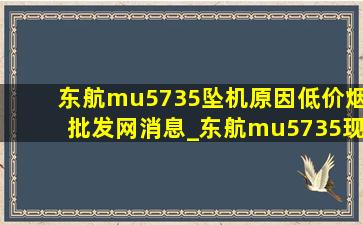 东航mu5735坠机原因(低价烟批发网)消息_东航mu5735现场真实画面