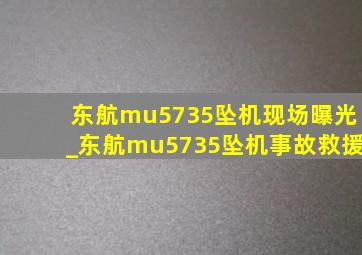 东航mu5735坠机现场曝光_东航mu5735坠机事故救援