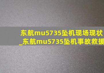 东航mu5735坠机现场现状_东航mu5735坠机事故救援