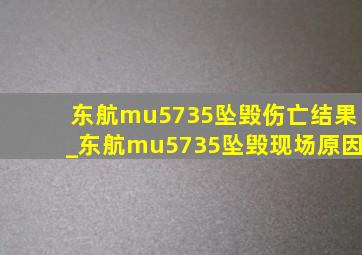 东航mu5735坠毁伤亡结果_东航mu5735坠毁现场原因