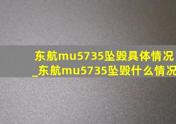 东航mu5735坠毁具体情况_东航mu5735坠毁什么情况