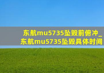 东航mu5735坠毁前俯冲_东航mu5735坠毁具体时间