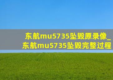 东航mu5735坠毁原录像_东航mu5735坠毁完整过程