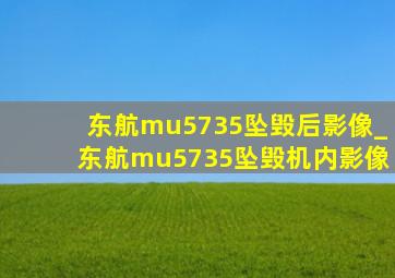 东航mu5735坠毁后影像_东航mu5735坠毁机内影像