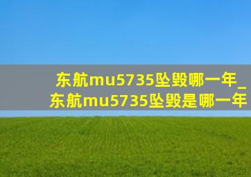 东航mu5735坠毁哪一年_东航mu5735坠毁是哪一年