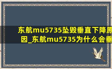 东航mu5735坠毁垂直下降原因_东航mu5735为什么会垂直下落