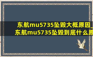 东航mu5735坠毁大概原因_东航mu5735坠毁到底什么原因