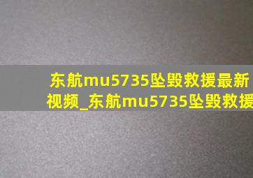 东航mu5735坠毁救援最新视频_东航mu5735坠毁救援