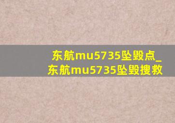 东航mu5735坠毁点_东航mu5735坠毁搜救