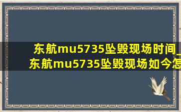 东航mu5735坠毁现场时间_东航mu5735坠毁现场如今怎样