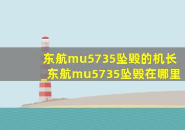 东航mu5735坠毁的机长_东航mu5735坠毁在哪里