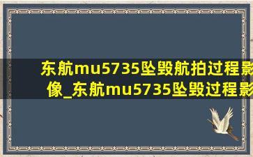 东航mu5735坠毁航拍过程影像_东航mu5735坠毁过程影像最新