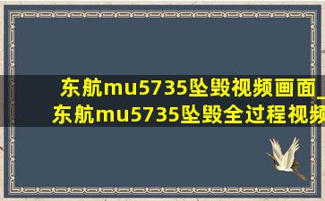 东航mu5735坠毁视频画面_东航mu5735坠毁全过程视频