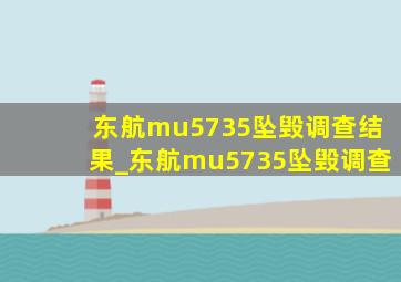 东航mu5735坠毁调查结果_东航mu5735坠毁调查