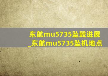 东航mu5735坠毁进展_东航mu5735坠机地点