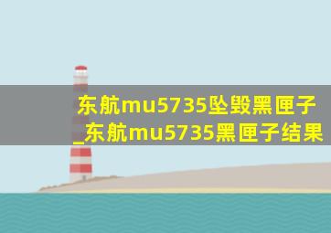 东航mu5735坠毁黑匣子_东航mu5735黑匣子结果