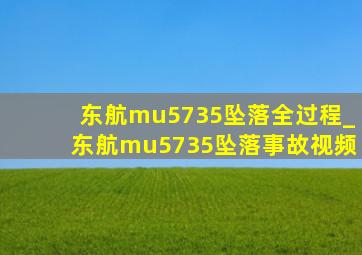 东航mu5735坠落全过程_东航mu5735坠落事故视频