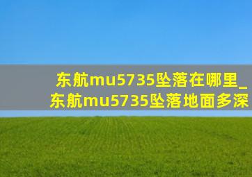 东航mu5735坠落在哪里_东航mu5735坠落地面多深