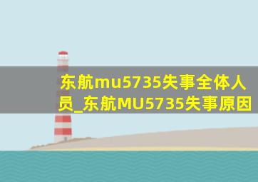 东航mu5735失事全体人员_东航MU5735失事原因