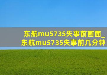 东航mu5735失事前画面_东航mu5735失事前几分钟