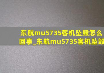 东航mu5735客机坠毁怎么回事_东航mu5735客机坠毁