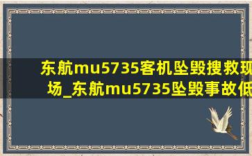 东航mu5735客机坠毁搜救现场_东航mu5735坠毁事故(低价烟批发网)消息
