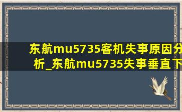 东航mu5735客机失事原因分析_东航mu5735失事垂直下降画面