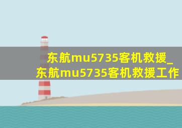 东航mu5735客机救援_东航mu5735客机救援工作