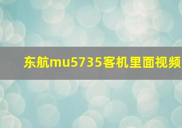 东航mu5735客机里面视频