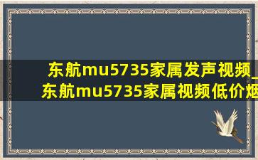 东航mu5735家属发声视频_东航mu5735家属视频(低价烟批发网)消息