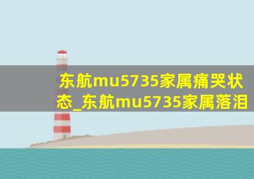 东航mu5735家属痛哭状态_东航mu5735家属落泪