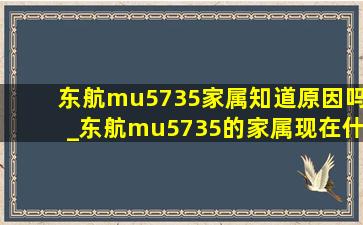 东航mu5735家属知道原因吗_东航mu5735的家属现在什么样了