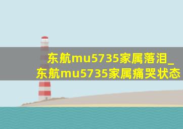 东航mu5735家属落泪_东航mu5735家属痛哭状态