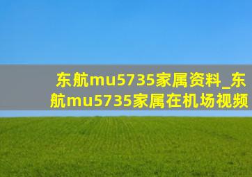 东航mu5735家属资料_东航mu5735家属在机场视频