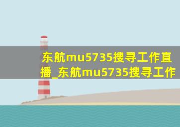 东航mu5735搜寻工作直播_东航mu5735搜寻工作