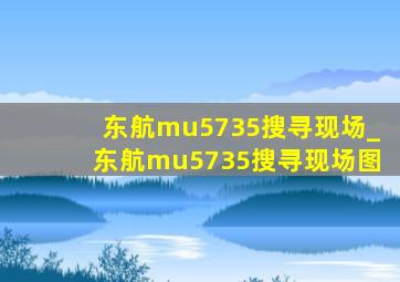 东航mu5735搜寻现场_东航mu5735搜寻现场图