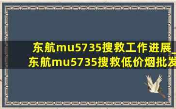 东航mu5735搜救工作进展_东航mu5735搜救(低价烟批发网)消息